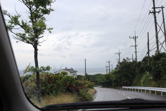 島のねこ～沖縄旅行３日目（１）_e0364523_11225637.jpg