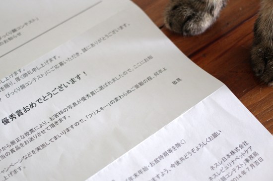 フリスキーびっくり顔 15年なごみ猫カレンダー コンテスト きょうだい猫と仲良し暮らし