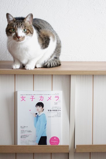 女子カメラ「ねこしゃしん」に「ゴーしゃしん」_e0364523_11353922.jpg