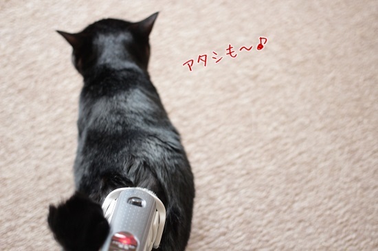 掃除機を順番待ちする猫たち_e0364523_12101636.jpg