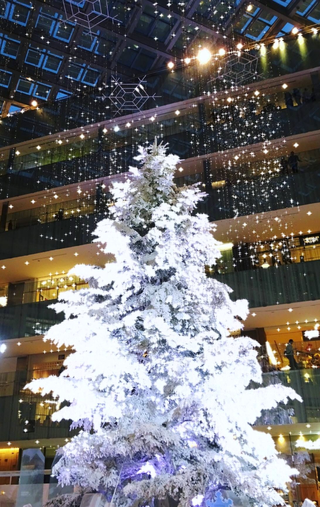 a0146024_17264561.jpg