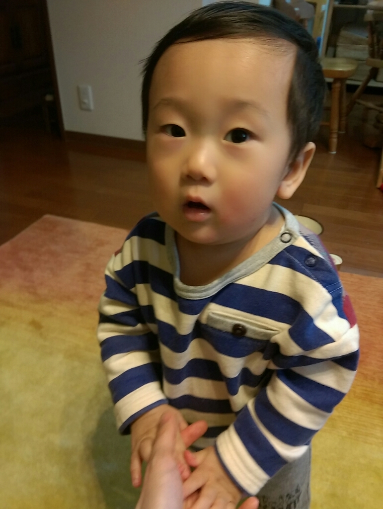 1歳になって感じる寂しさ(2016.12.20)_b0080027_23581348.jpg