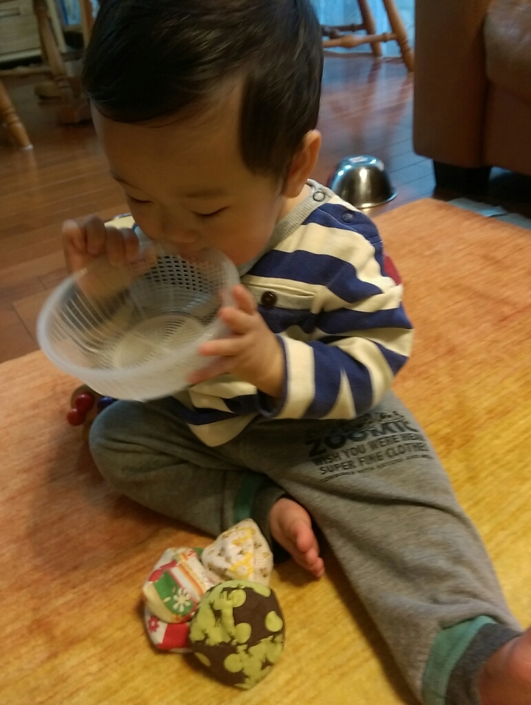 1歳になって感じる寂しさ(2016.12.20)_b0080027_23581601.jpg