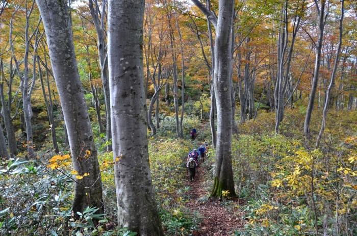 Shinetsu Trail Tour 2016 Oct 13 to Oct 23 [Part 4]_d0112928_07565726.jpg