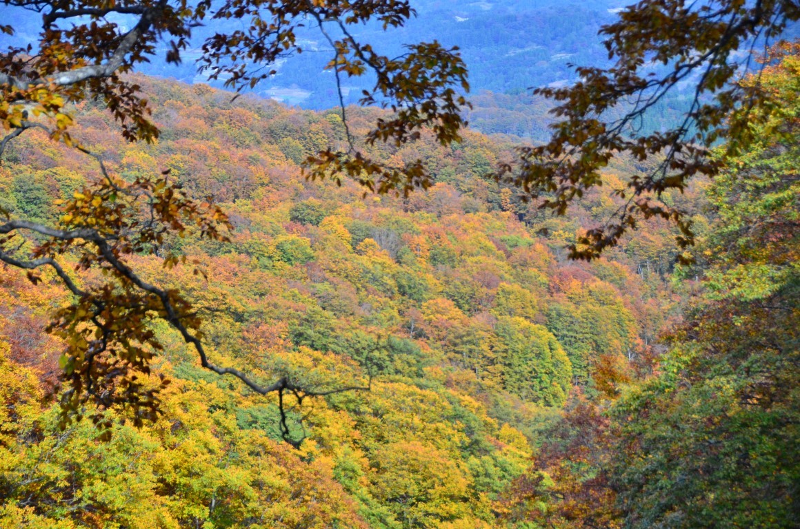 Shinetsu Trail Tour 2016 Oct 13 to Oct 23 [Part 4]_d0112928_07573920.jpg