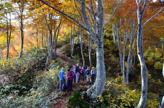 Shinetsu Trail Tour 2016 Oct 13 to Oct 23 [Part 4]_d0112928_07580431.jpg