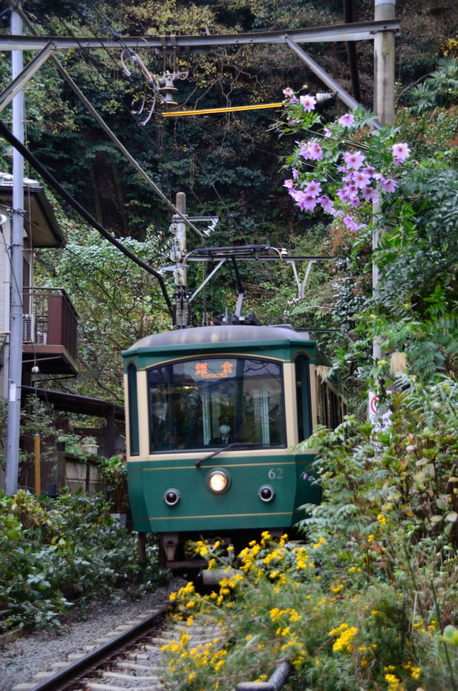 江ノ電　鎌倉を走る列車 Ⅱ_a0287533_00060703.jpg