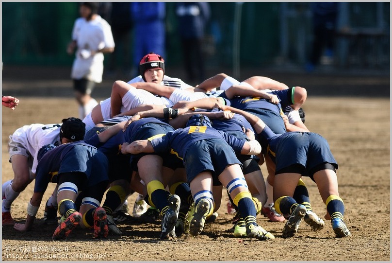 RUGBY 東京都新人大会　合同Ｆ対小平西_e0288838_8453083.jpg