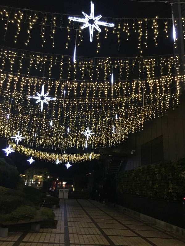 b0153857_10043572.jpeg