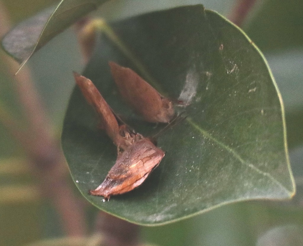 b0320769_17010903.jpg