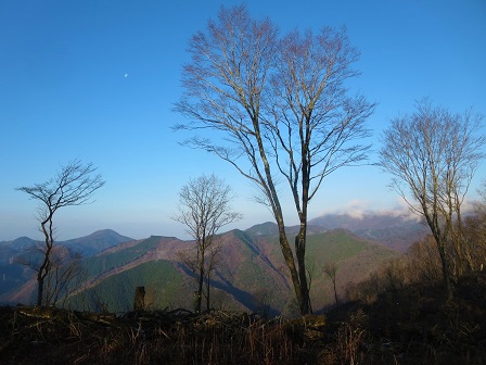 f0302771_1155044.jpg