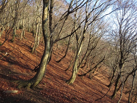 f0302771_1155101.jpg