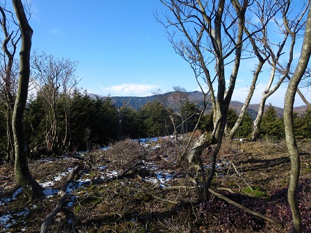 f0302771_11562538.jpg