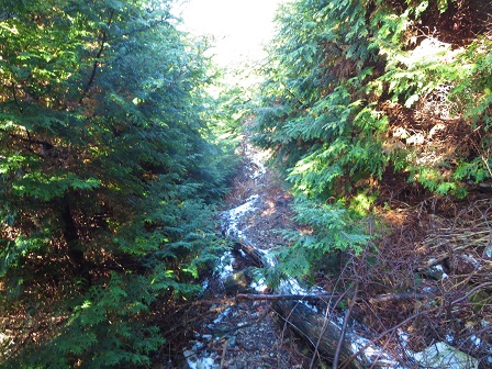 f0302771_11564945.jpg