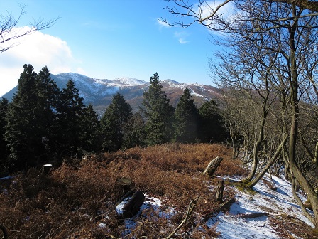 f0302771_11572519.jpg