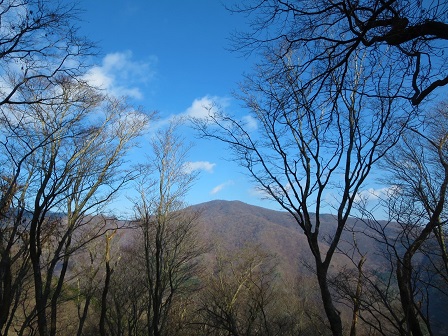 f0302771_1157532.jpg