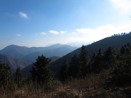 f0302771_1158076.jpg