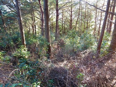 f0302771_11581366.jpg
