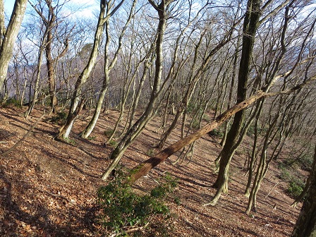 f0302771_115875.jpg