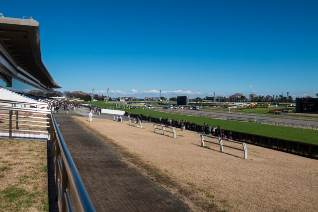 2016年 秋のG1シリーズ　第68回 朝日杯フューチュリティステークス_b0247073_21254811.jpg