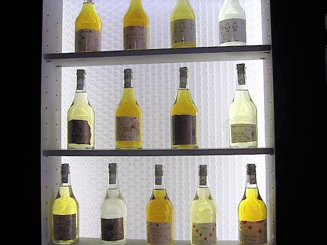 ⑫　ロマーノレヴィ　2005年 12752_19_L.jpg