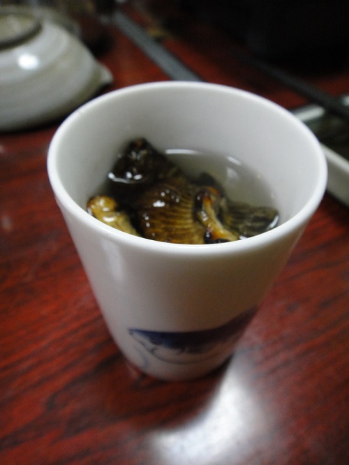 f0238779_90207.jpg