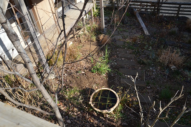 c0124100_1774547.jpg