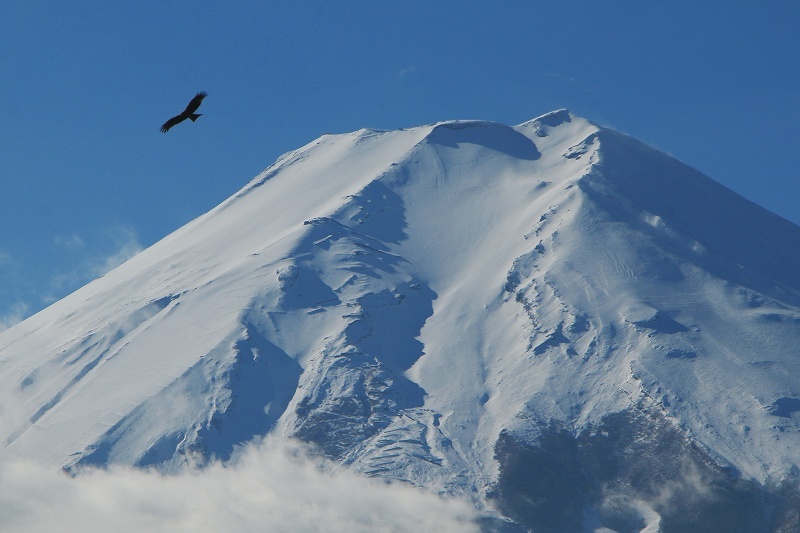 a0188405_17383812.jpg