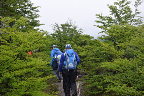 c0242406_1331644.jpg