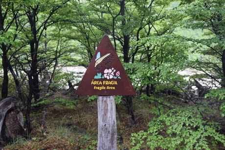 c0242406_1444097.jpg