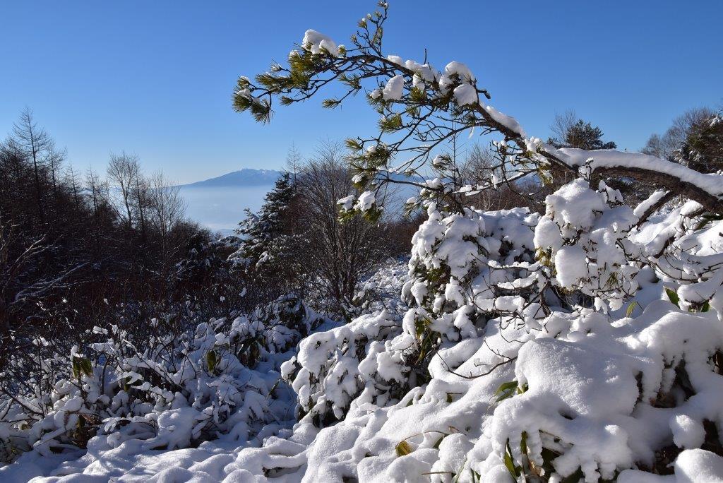 2016/12/18 湯ノ丸山～烏帽子岳　モフモフ雪と戯れながら_a0340812_08321876.jpg