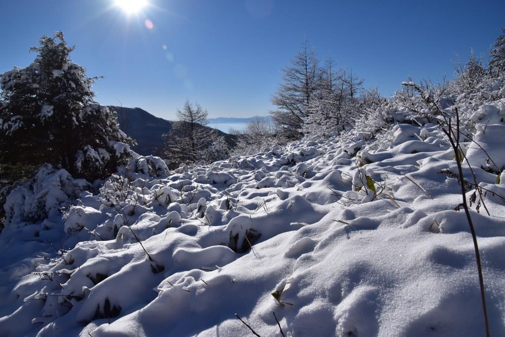 2016/12/18 湯ノ丸山～烏帽子岳　モフモフ雪と戯れながら_a0340812_08322400.jpg