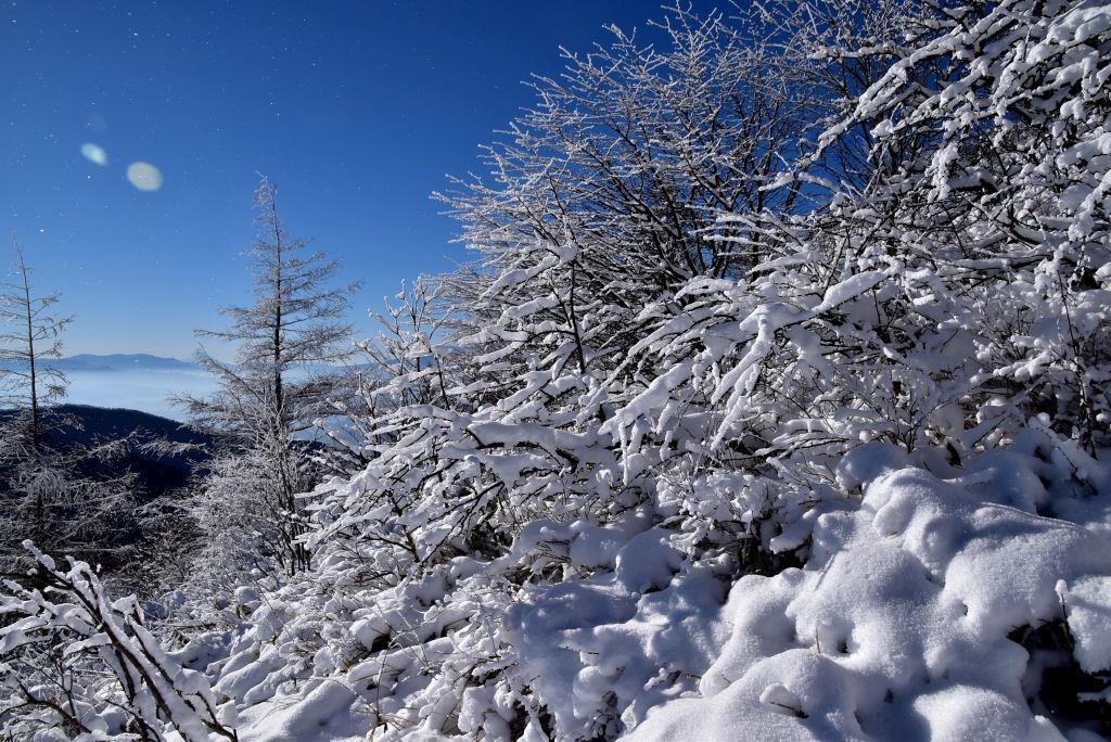 2016/12/18 湯ノ丸山～烏帽子岳　モフモフ雪と戯れながら_a0340812_08323576.jpg