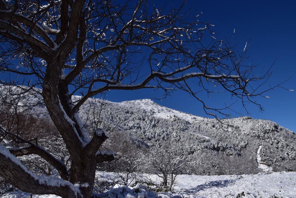 2016/12/18 湯ノ丸山～烏帽子岳　モフモフ雪と戯れながら_a0340812_08331409.jpg