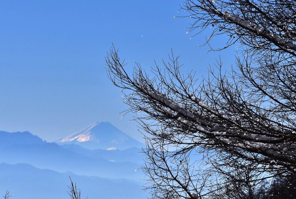 2016/12/18 湯ノ丸山～烏帽子岳　モフモフ雪と戯れながら_a0340812_08331878.jpg