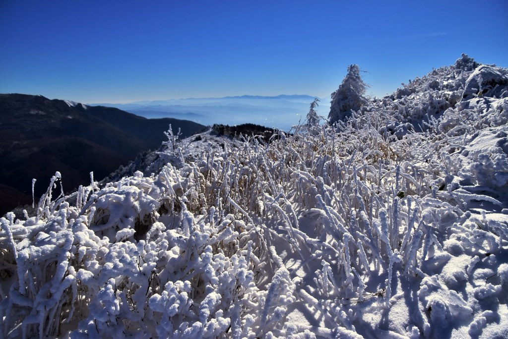 2016/12/18 湯ノ丸山～烏帽子岳　モフモフ雪と戯れながら_a0340812_08334634.jpg