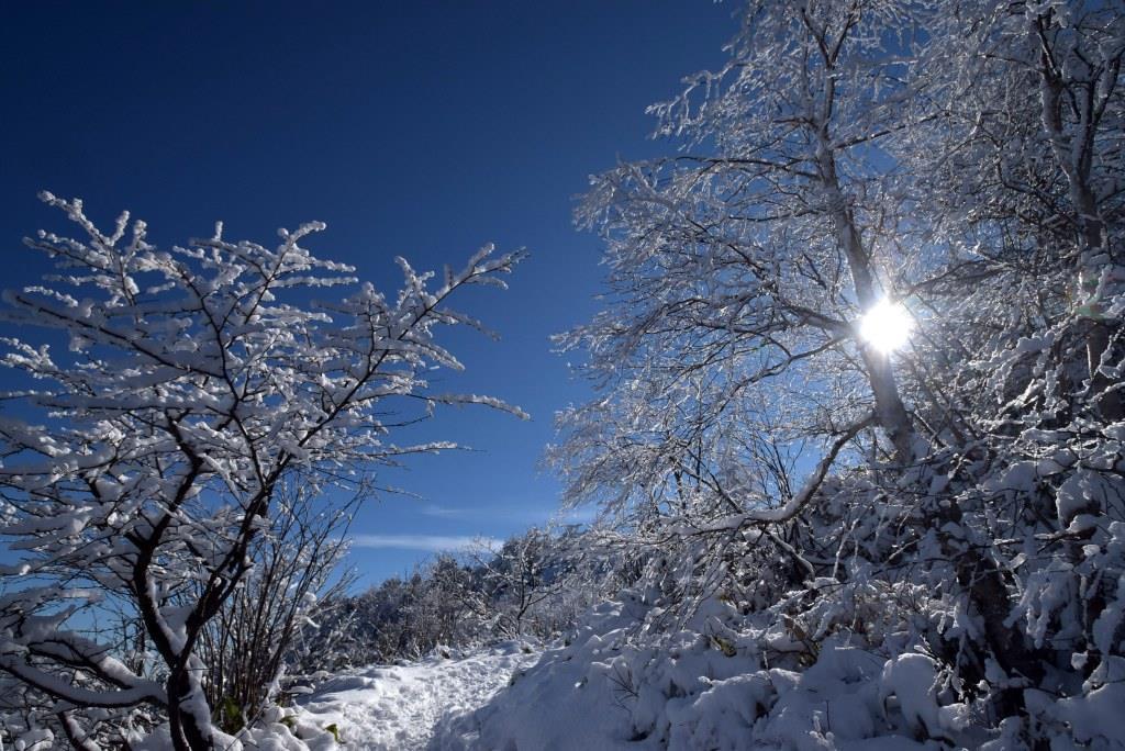 2016/12/18 湯ノ丸山～烏帽子岳　モフモフ雪と戯れながら_a0340812_08342102.jpg