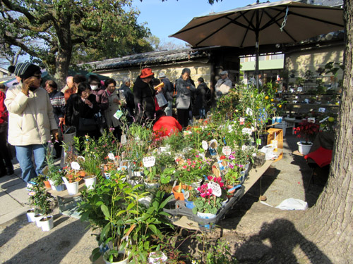 しまい弘法 東寺_e0048413_21393383.jpg