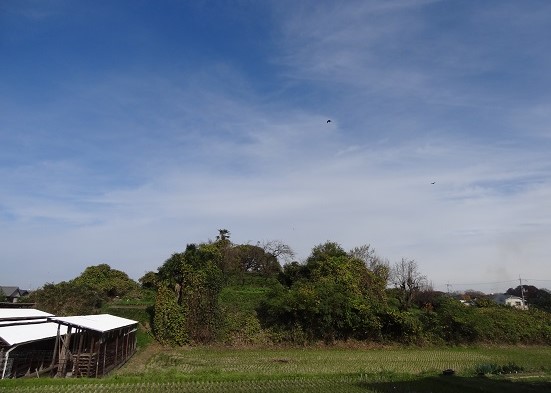 f0000521_6272257.jpg
