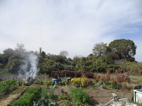 f0000521_6275353.jpg