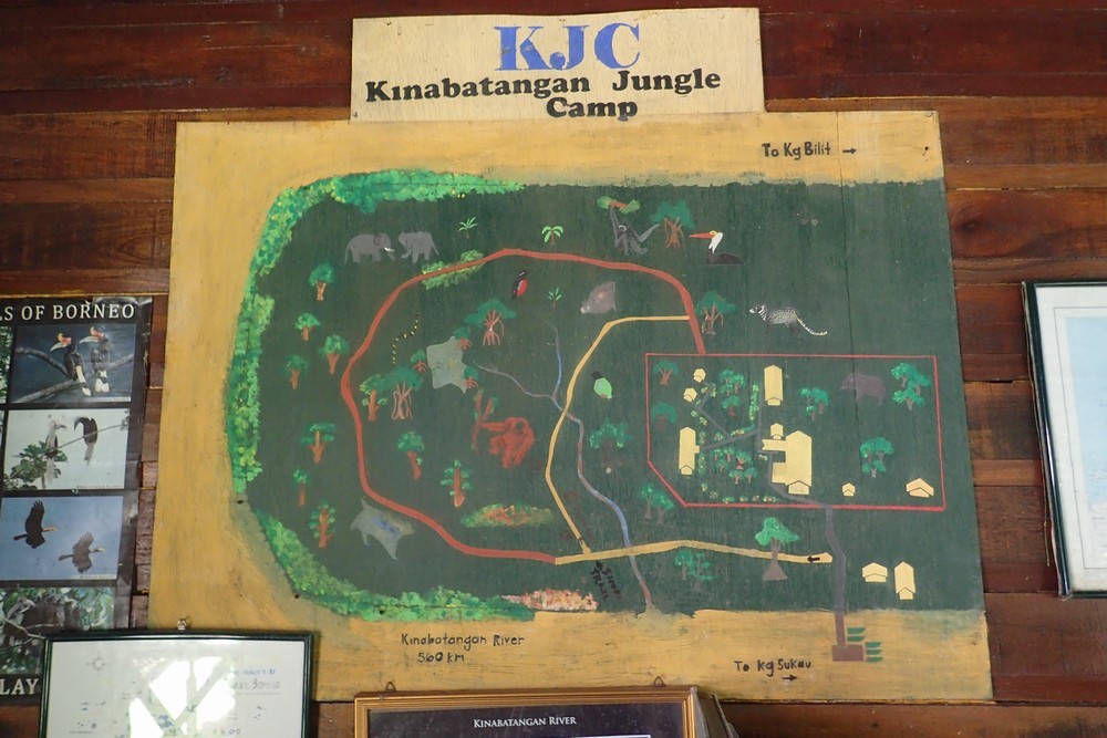 c0369423_21590055.jpg