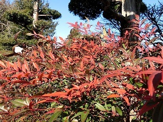 e0234924_09521127.jpg