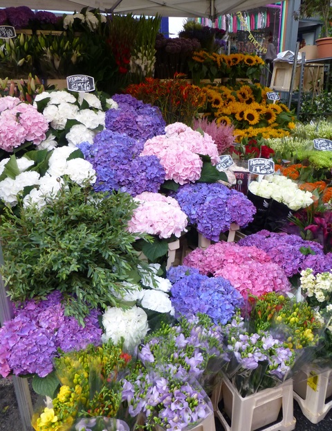 ロンドン旅行記3日目【Columbia Rd,Flower Market】_e0237625_127682.jpg
