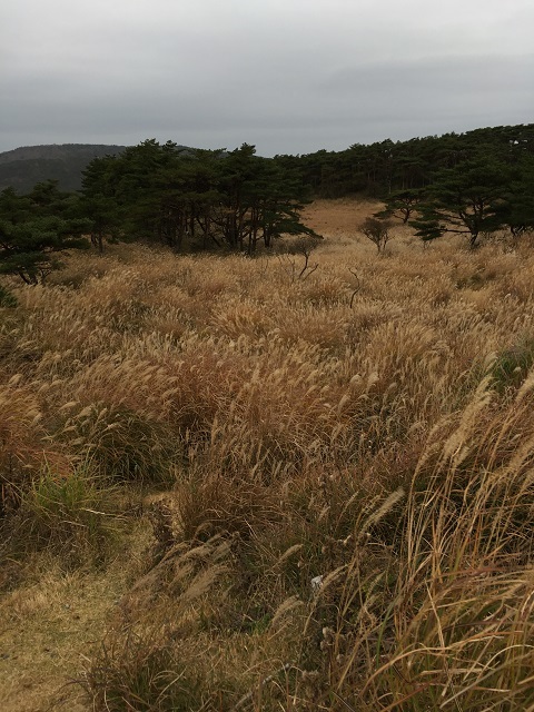 e0303726_21475626.jpg