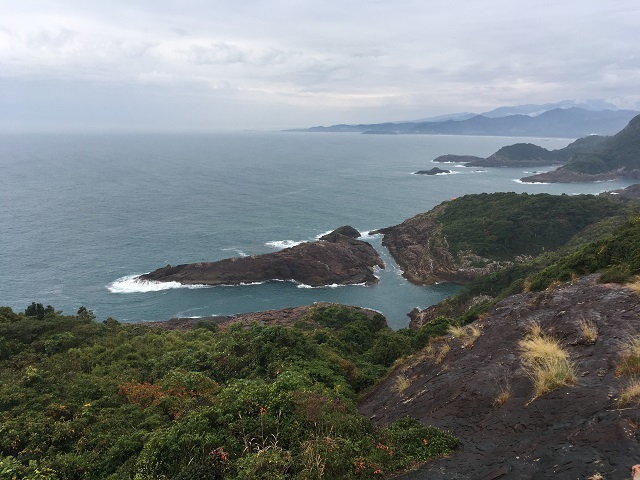 e0303726_21491981.jpg