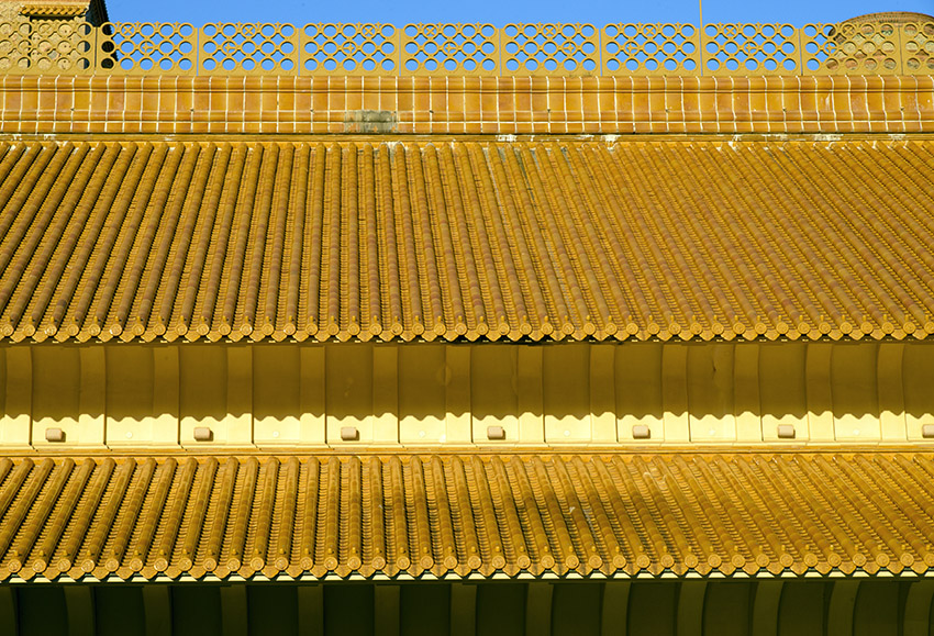 d0147530_1154515.jpg