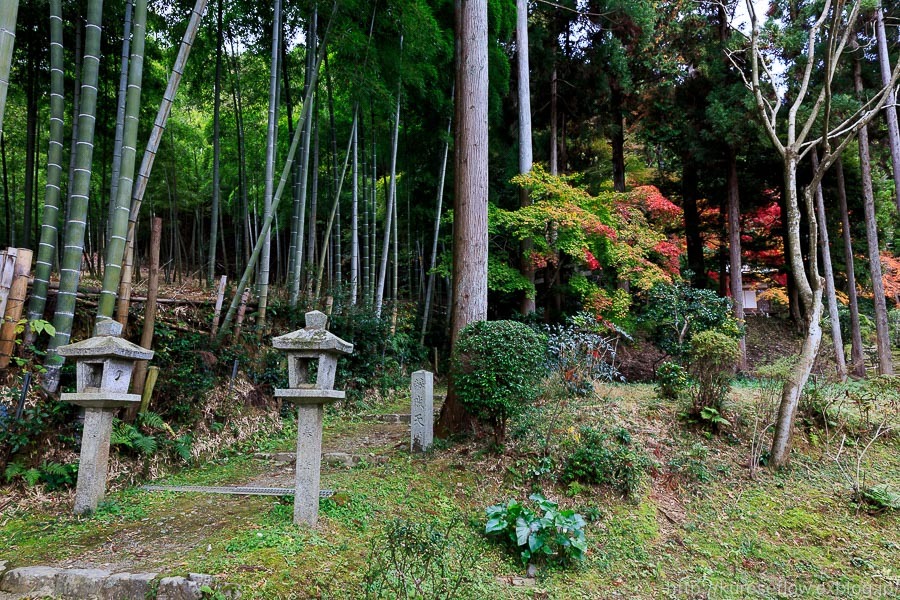 紅葉の京都 嵯峨 護法堂弁財天 ぴんぼけふぉとぶろぐ2 紅葉の京都 嵯峨 護法堂弁財天 ぴんぼけふぉとぶろぐ2