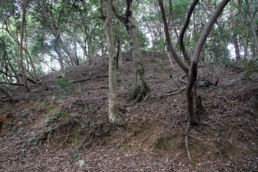 式内社「天石門別八倉比売神社」と「大泉神社」♪_d0058941_21234898.jpg