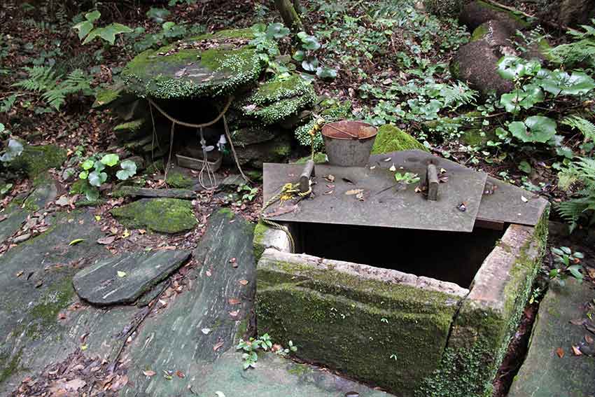 式内社「天石門別八倉比売神社」と「大泉神社」♪_d0058941_2126512.jpg