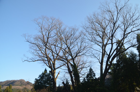 c0202242_962668.jpg